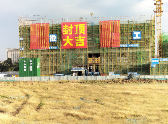2024澳门原料16881大全