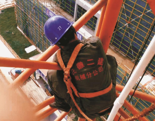 2024澳门原料16881大全