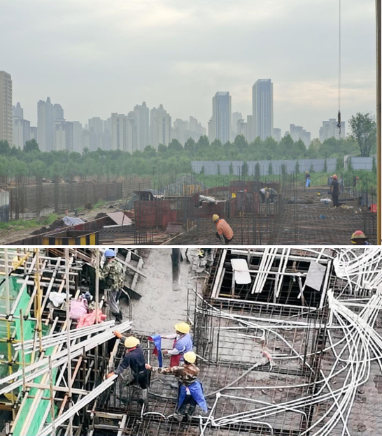 2024澳门原料16881大全