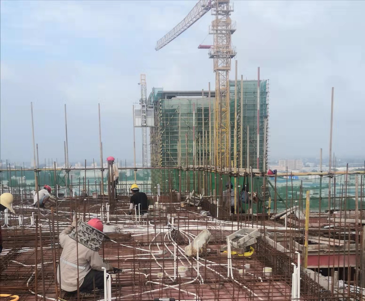 2024澳门原料16881大全