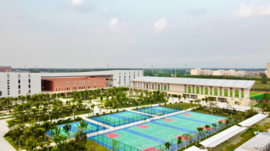 2024澳门原料16881大全