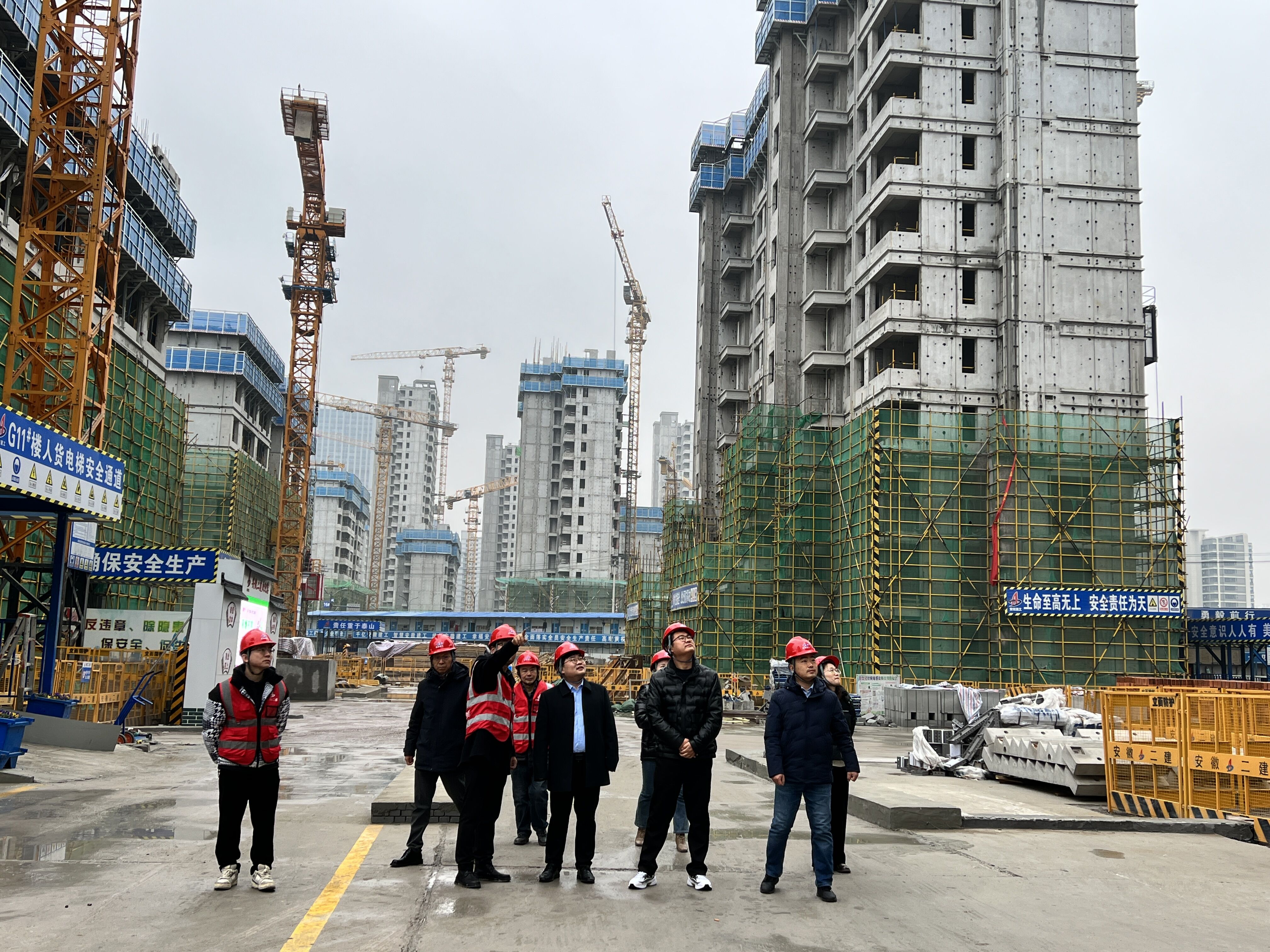 2024澳门原料16881大全