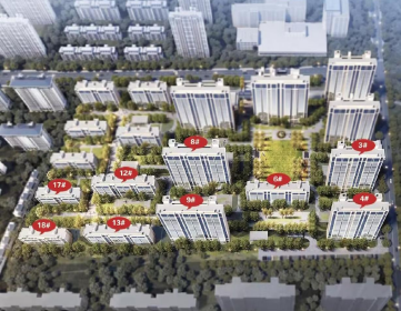 2024澳门原料16881大全