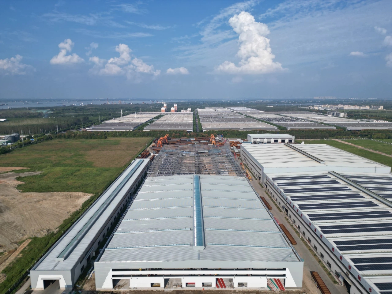 2024澳门原料16881大全